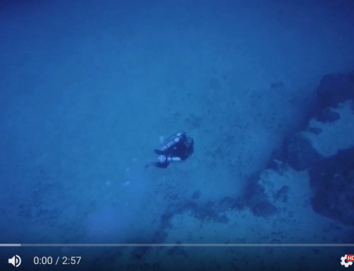 Video – Diving The Gulf Fleet 31